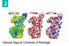 Figure of DNA