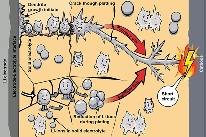 Illustration of the dual-path dendrite formation mechanism in solid-state batteries, highlighting the interplay between interfacial lithium plating and internal electrolyte reduction.