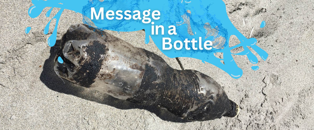 Oil-soaked debris on the beach 