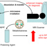 Schematic illustrating the dissolution DNP process.