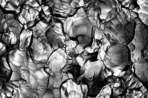 srf nb microscope