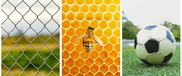 Examples of tessellations in the world around us: a chain link fence, a beehive, a soccer ball.