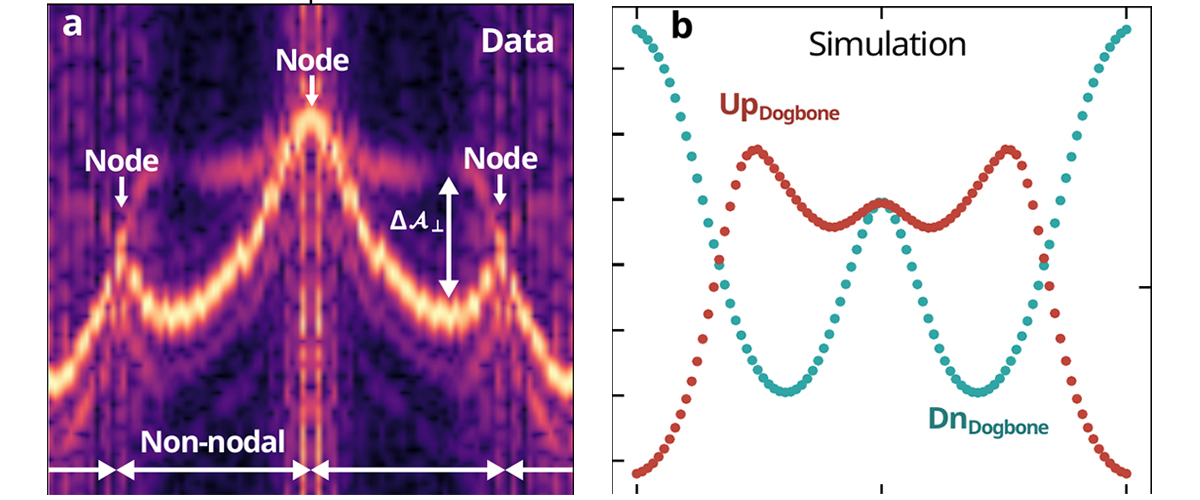 Left: Measured quantum-oscillation frequencies . Right: The branches join at symmetry-protected nodes and separate elsewhere—the bulk fingerprint of g-wave order. 
