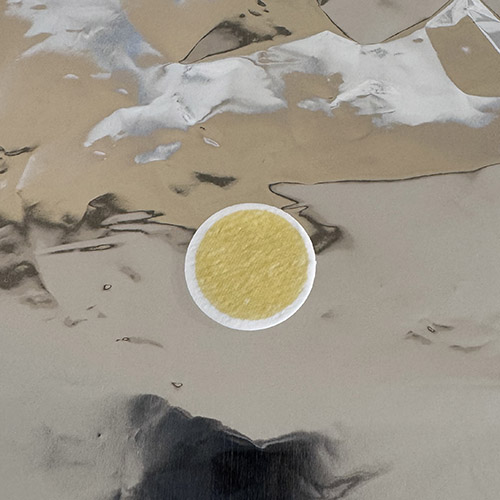 Two filters used on seawater collected aboard the RV Roger Revelle. On the left, the green is from phytoplankton in surface seawater.