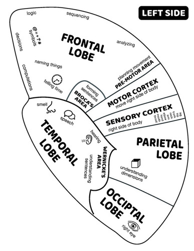 Left Hemisphere