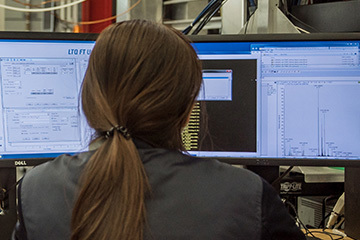 MagLab scientist analyzing data