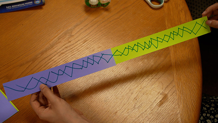 A piece of paper to do a Mobius Strip