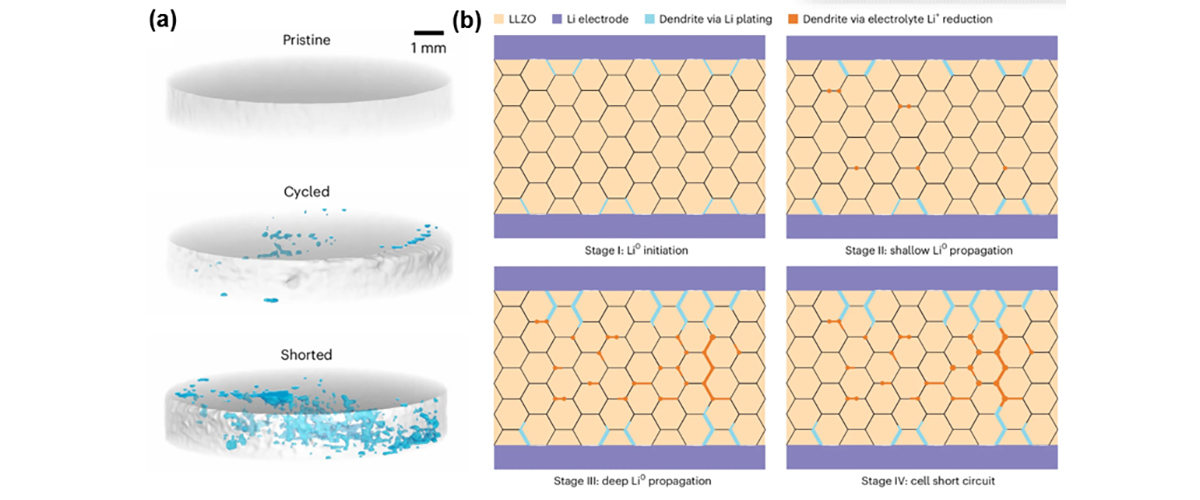 (a) Volume-rendered 3D 7Li MRI images of pristine, cycled, and shorted Li7La3Zr2O12 (LLZO) pellets. Blue regions show metallic lithium growing inside a transparent solid-electrolyte pellet. (b) Schematic illustrating Li dendrite formation mechanisms and propagation processes in Li/LLZO/Li.