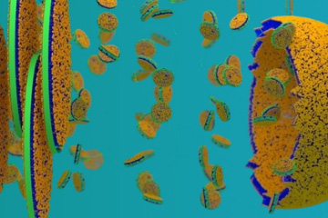 Symposium on Lipid Nanodiscs: Applications in Structural Biology and Drug Delivery thumbnail