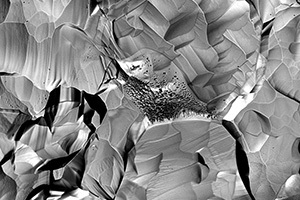 srf nb microscope