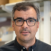 Ümit Akbey