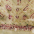 Research scientist Maedeh Darzi studied this 18th century Islamic prayer book using infrared light generated by a synchrotron.