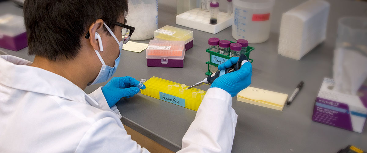 MagLab Intern running an experiment 