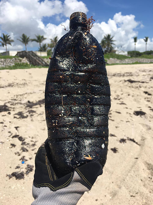 An oil-coated bottle found at Palm Beach in summer 2020.