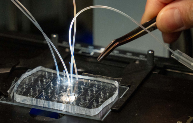 Analyze and identify bioactive molecules