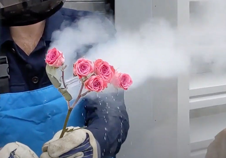 Cryo Flowers