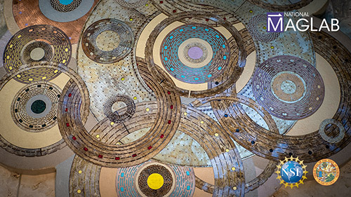 Bitter Disk Art thumbnail