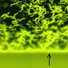 Magneto-optical image of a 3.3 mm wide YBCO on RABiTS coated conductor