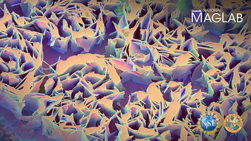 Colorful Conductor thumbnail