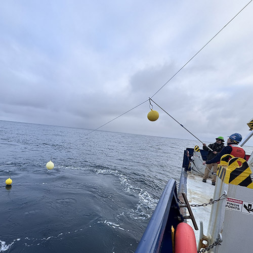 Scientists and crew deploy a sediment trap and the accompanying floats aboard the Research Vessel Roger Revelle picture 4