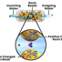Deionization thumbnail